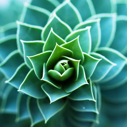 Hd-175833-ascw175833