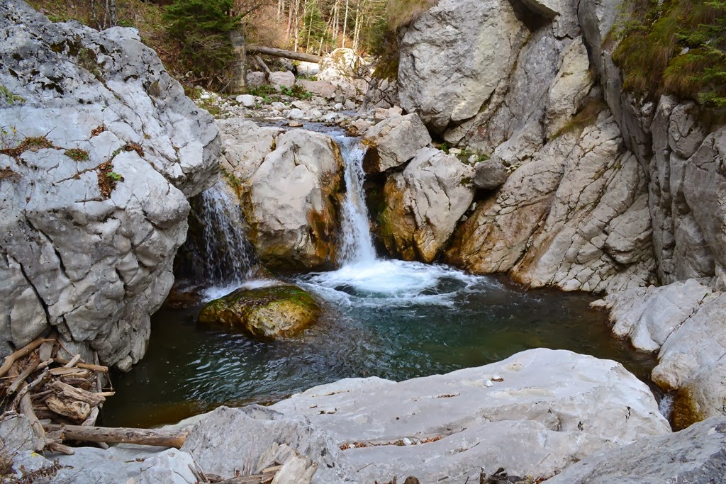 [DSC_05063.jpg]