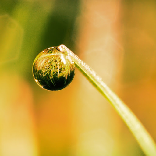 Hd-177620-ascw177620