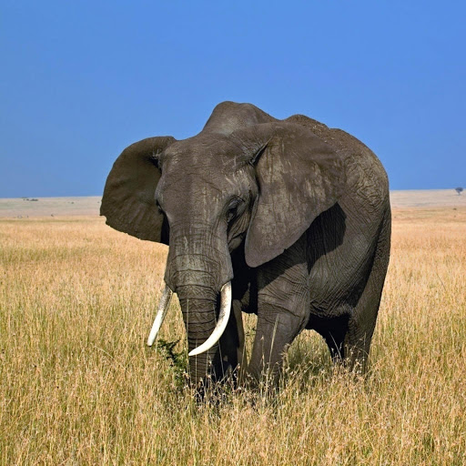 Hd-155496-ascw155496