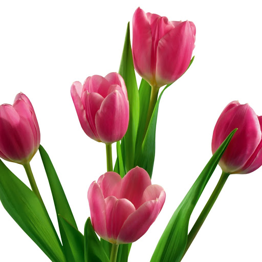 Hd-149240-ascw149240