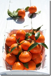 Read more about Mandarin Oranges. Photo | Lisa Porter Read more about Mandarin Oranges. Photo | Lisa Porter