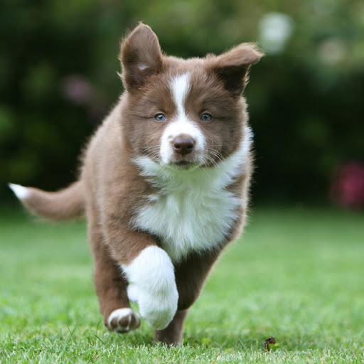 Hd-181820-ascw181820