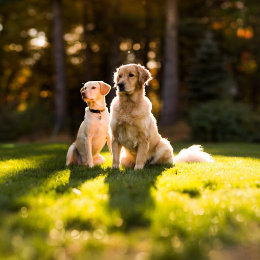 Hd-173819-ascw173819