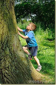 child-climbing-tree