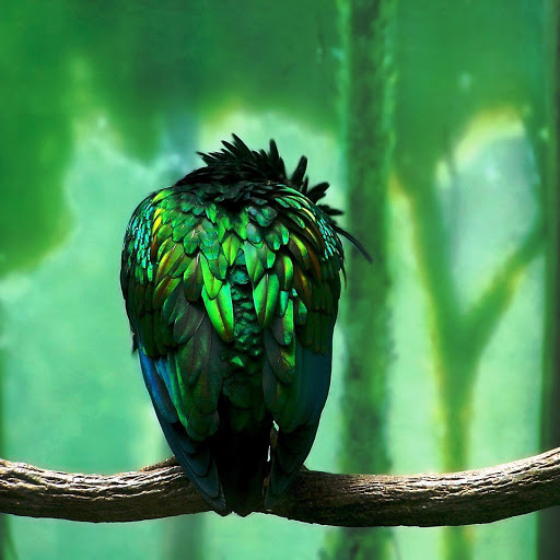 Hd-158449-ascw158449