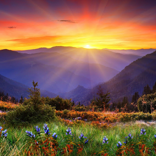 Hd-168443-ascw168443