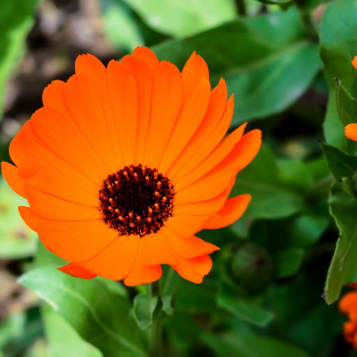 Hd-186259-ascw186259