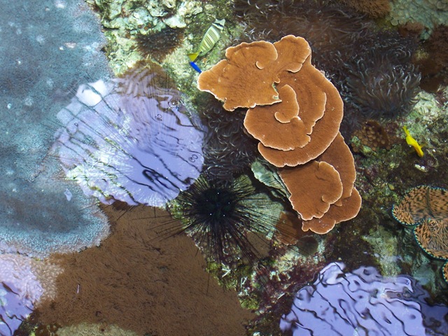 [2012.08.050242.jpg]