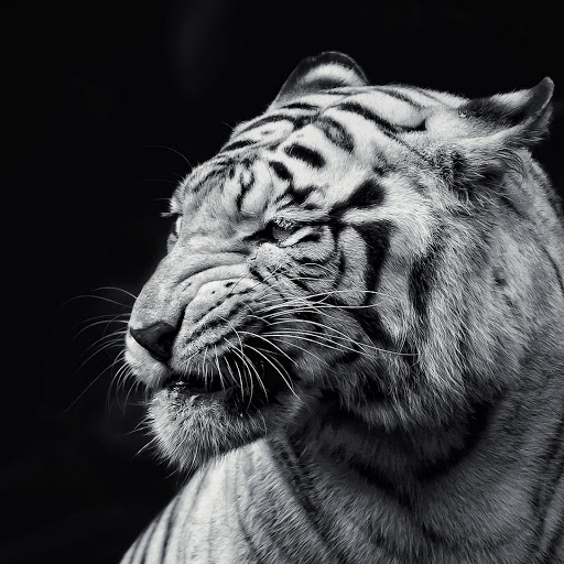 Hd-140367-ascw140367