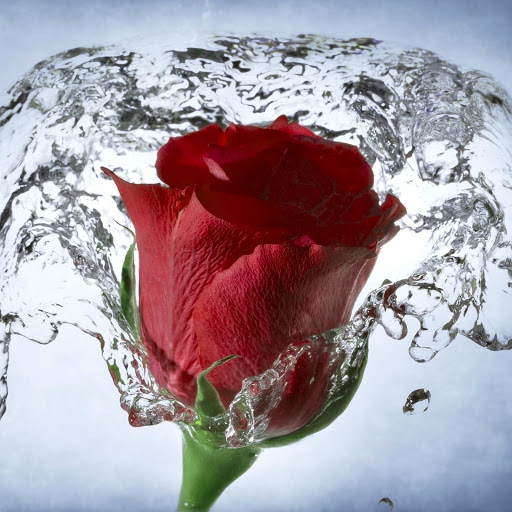 Hd-142143-ascw142143