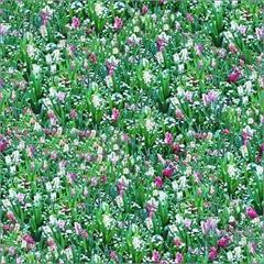 Flower-Meadow-Seamless-Pattern-1135106