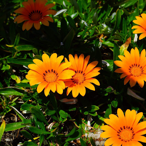 Hd-173191-ascw173191