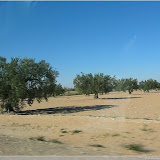 Autofahrt nach Douz/Sahara