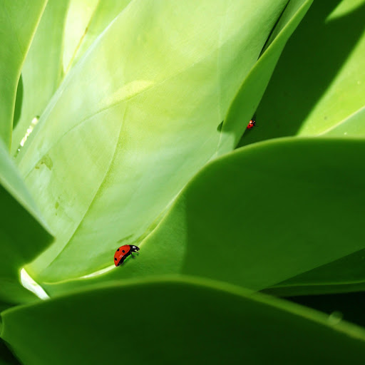 Hd-142530-ascw142530