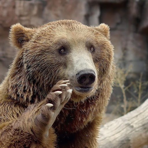 Hd-184843-ascw184843