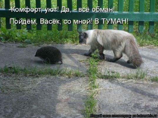 [108%255B3%255D.jpg]