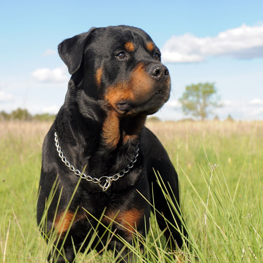 Hd-159604-ascw159604