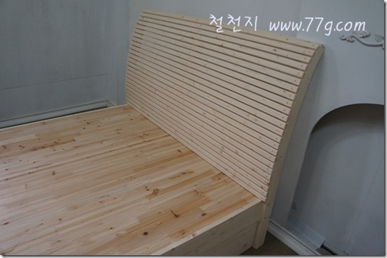 철천지DSC01756-20120524-100715