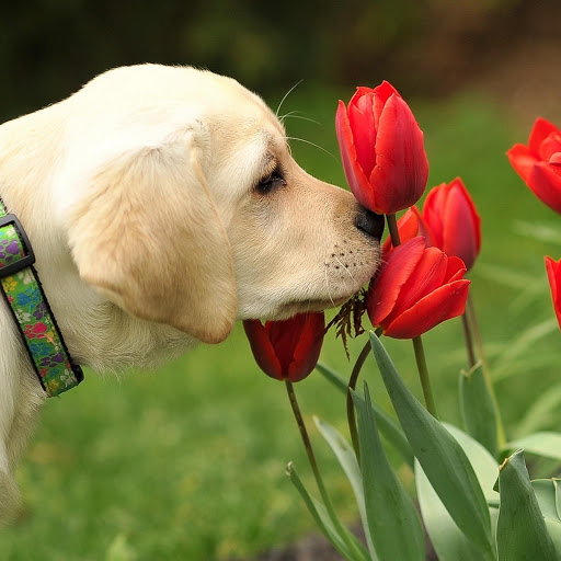 Hd-174836-ascw174836