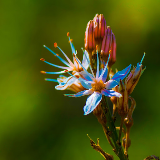 Hd-184133-ascw184133