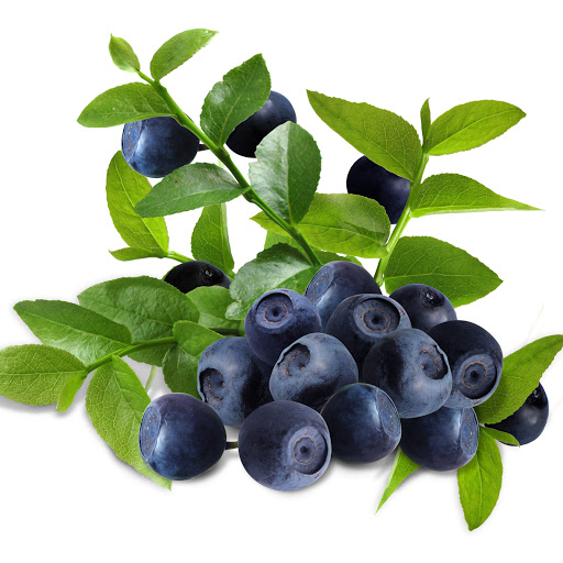 Hd-142310-ascw142310