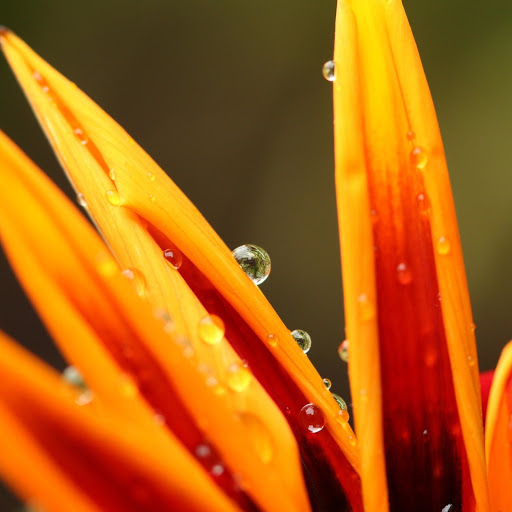 Hd-186075-ascw186075