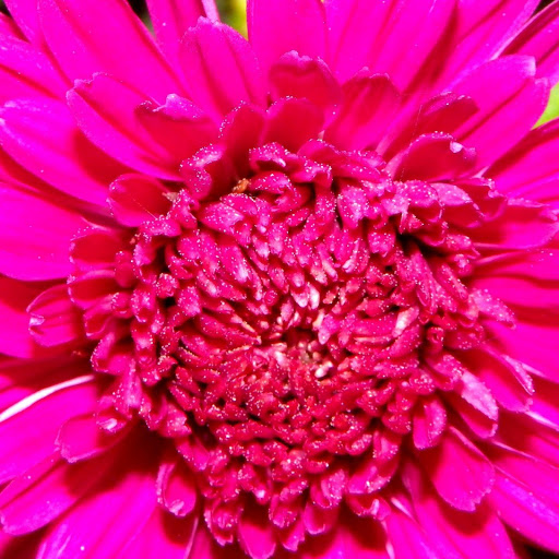 Hd-132503-ascw132503