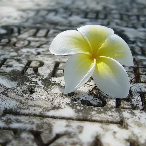 Hd-179611-ascw179611