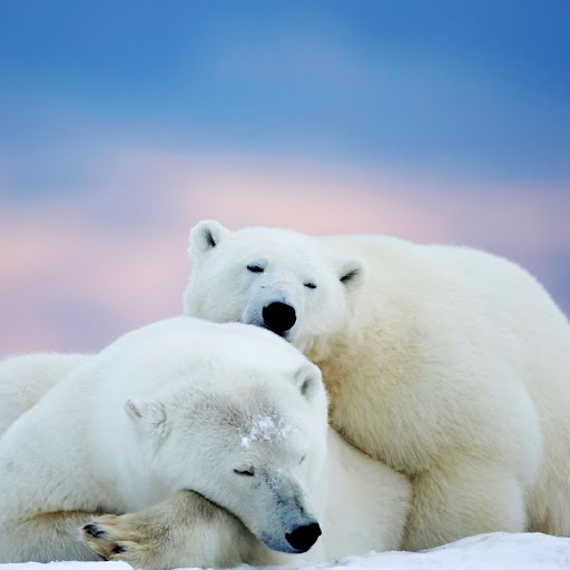 Hd-180404-ascw180404