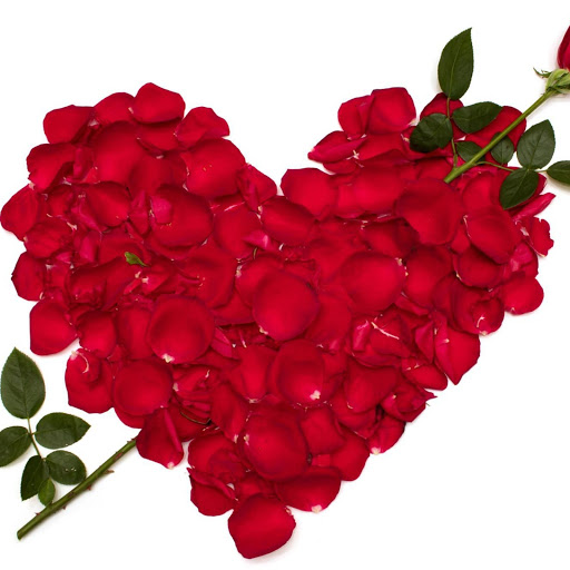 Hd-162055-ascw162055