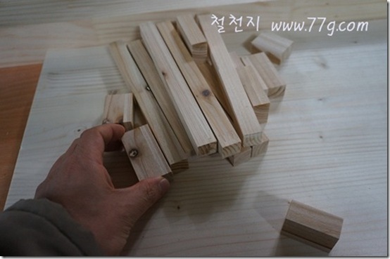 철천지DSC02847-20120202-143328