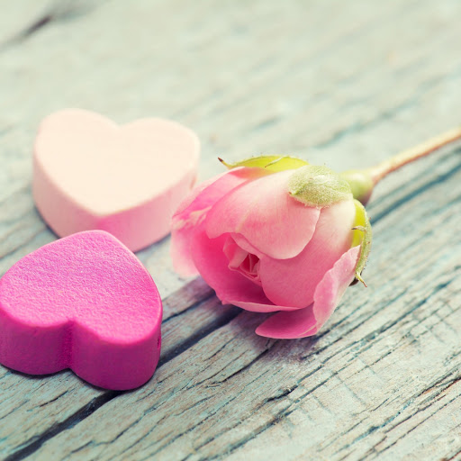 Hd-169848-ascw169848