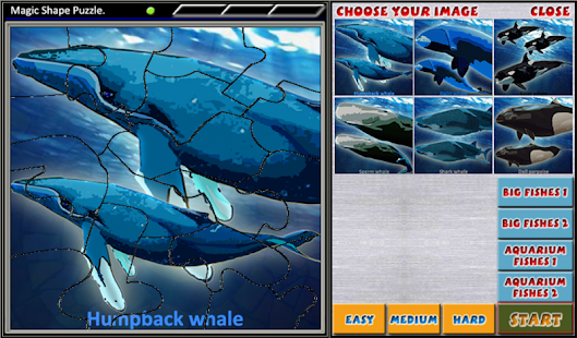 How to install Magic Shape Puzzle 3 1.13 unlimited apk for bluestacks