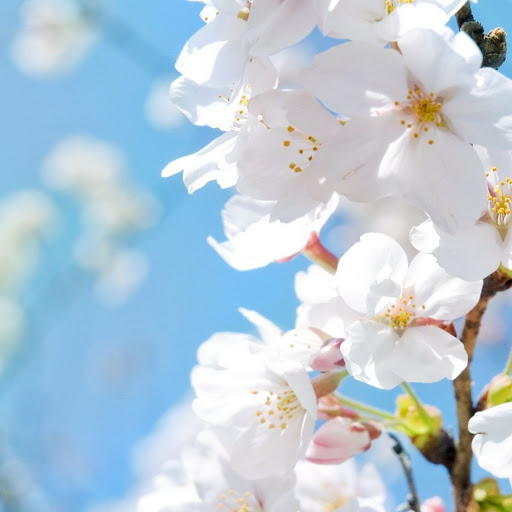 Hd-147151-ascw147151