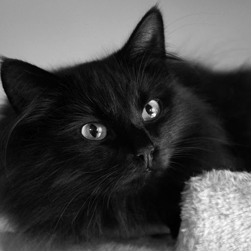 Hd-147782-ascw147782