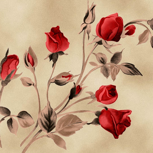 Hd-177675-ascw177675