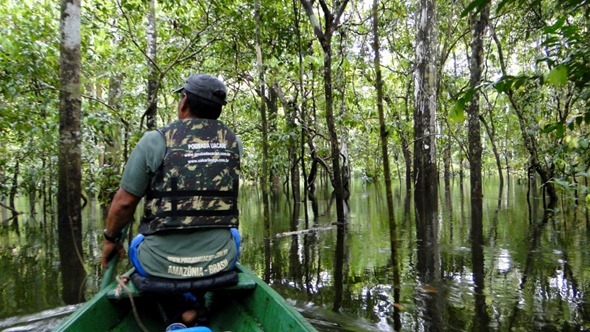 Passeio de canoinha em Mamirauá