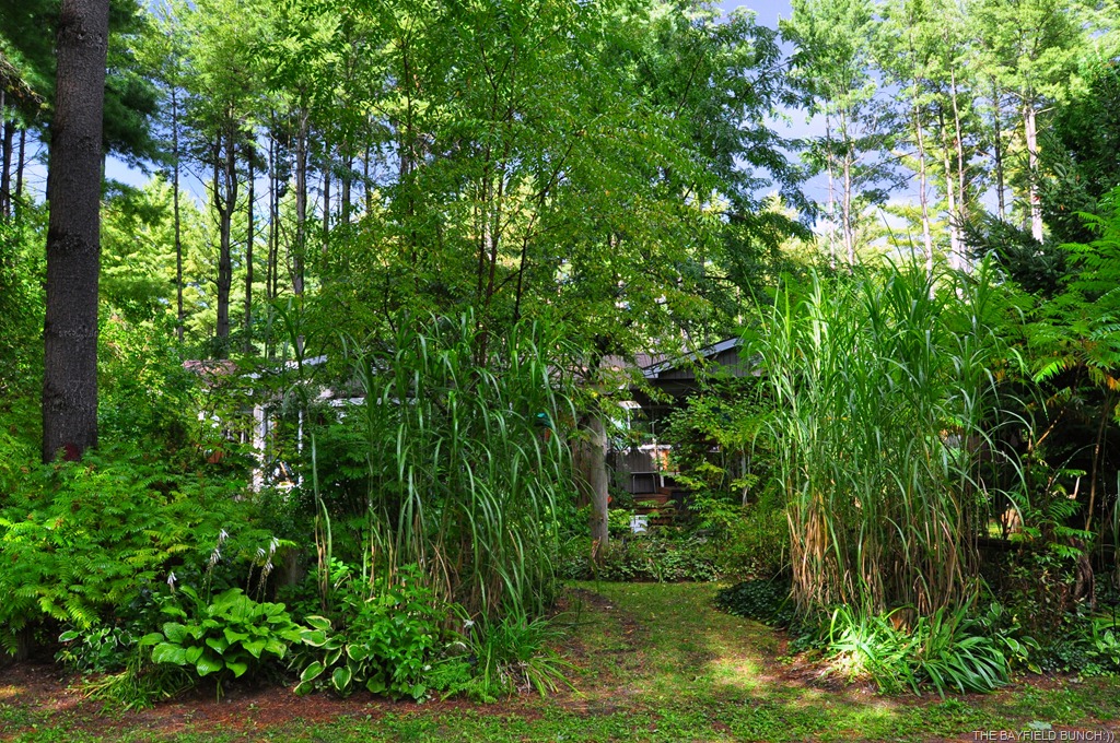 [DSC_0018%255B9%255D.jpg]