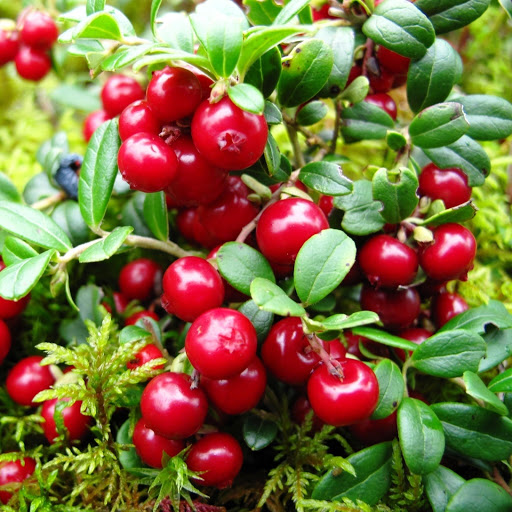 Hd-147529-ascw147529