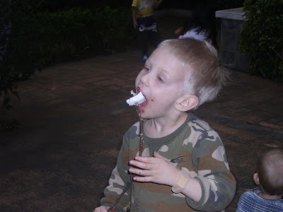 the-do-it-yourself-mom-frugal-family-fun-really-homemade-s-mores