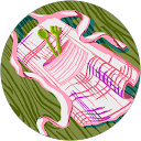 Image Google de Corinne Bretiniere