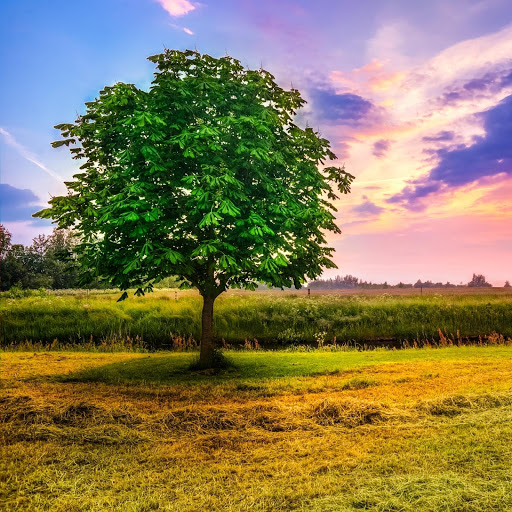 Hd-190861-ascw190861