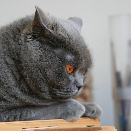 Hd-174415-ascw174415