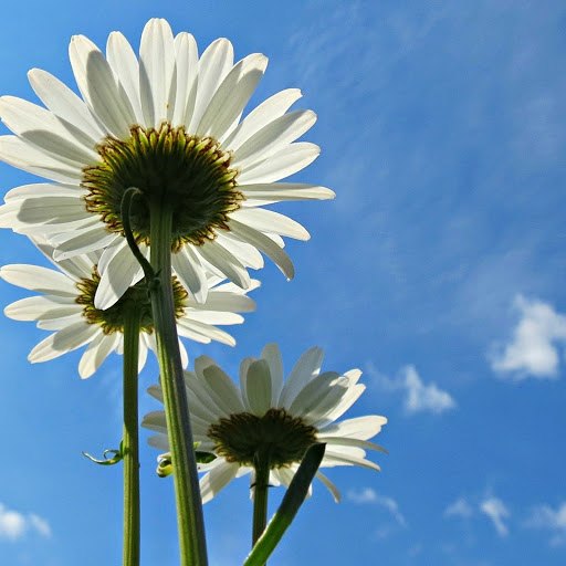 Hd-167217-ascw167217