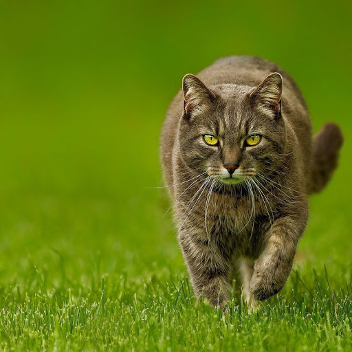 Hd-143756-ascw143756