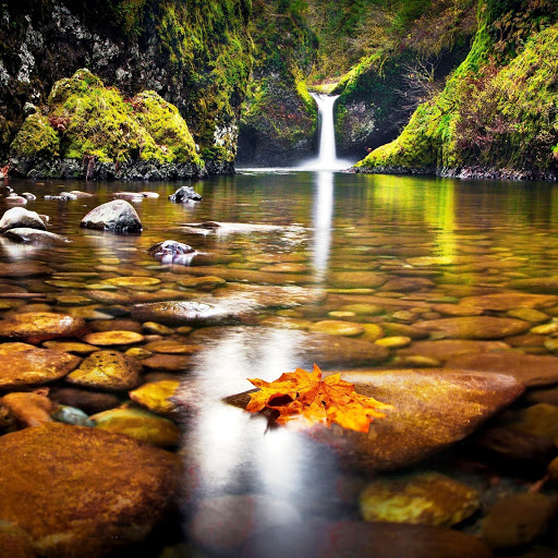 Hd-151911-ascw151911