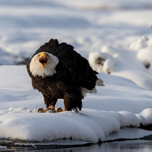 Hd-142983-ascw142983