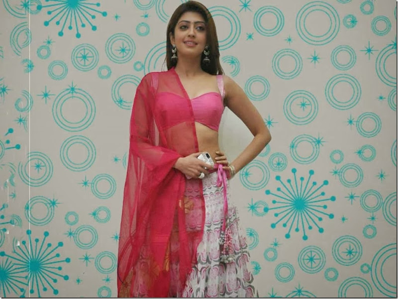 pranitha_Hot  (2)