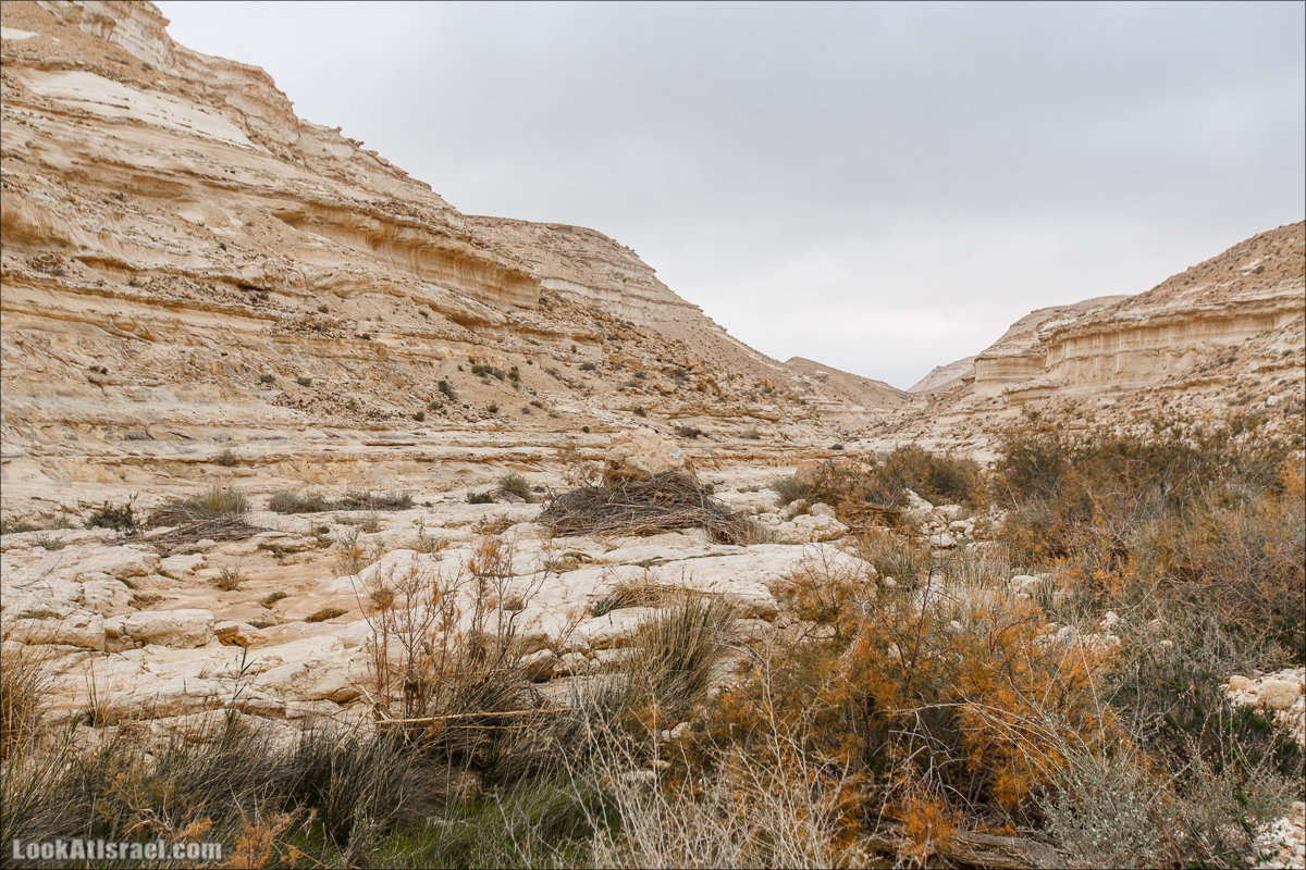 Ручей Акев и источник Эйн Акев в пустыне Негев. LookAtIsrael.com - Фото путешествия по Израилю